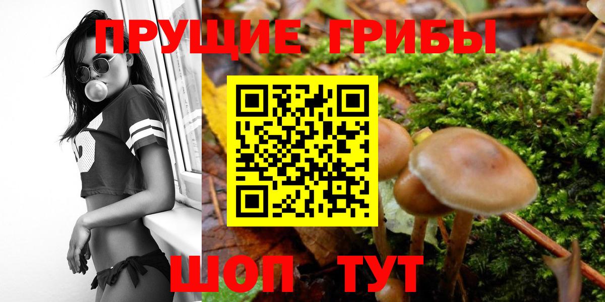 Гашиш Ессентуки